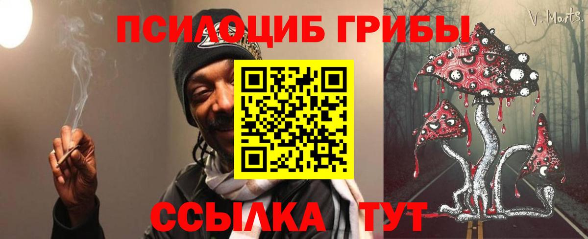 Псилоцибиновые грибы прущие грибы Алатырь