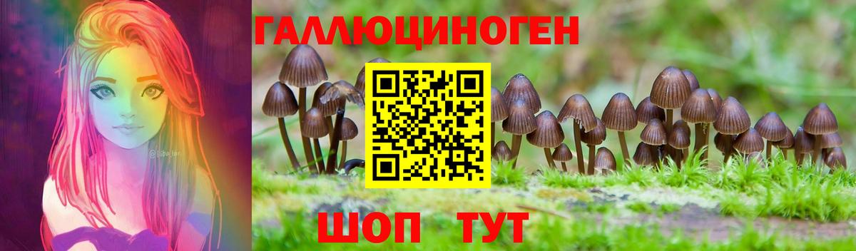 Алатырь  Псилоцибиновые грибы Psilocybine cubensis  Псилоцибиновые грибы MAGIC MUSHROOMS  хочу   Вход с VPN 